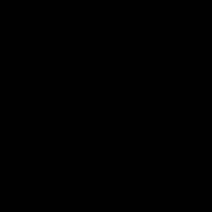 Meet your Posher, Katelyn